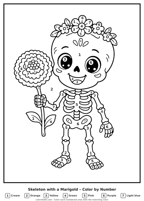 Skeleton with a Marigold color by number page with numbered areas
