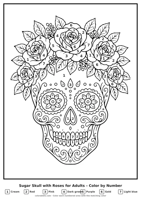 Sugar Skull with Roses for Adults Day of the Dead color by number with numbered areas