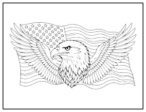 Detailed Bald Eagle with Flag coloring page – printable line art