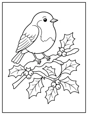 Robin on a Snowy Holly Branch coloring page – printable line art