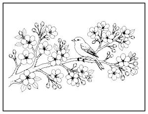 Cherry Blossom Branch with Bird coloring page – printable line art