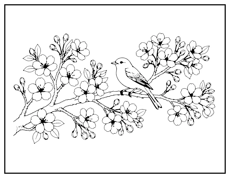 Cherry Blossom Branch with Bird coloring page – printable black and white line art