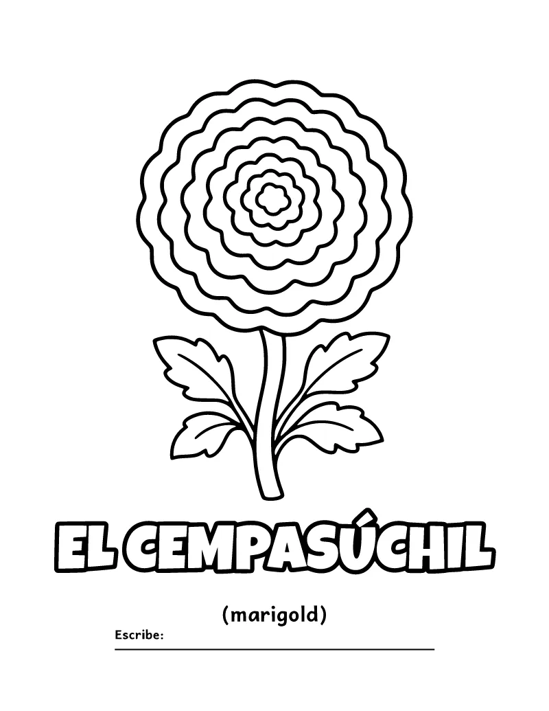 Flor de Cempasúchil para Colorear coloring page – printable black and white line art