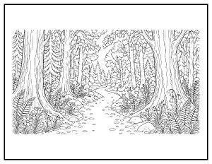 Forest Path with Ferns coloring page – printable line art