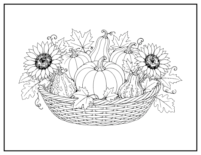 Heirloom Pumpkin Harvest for Adults coloring page – printable black and white line art