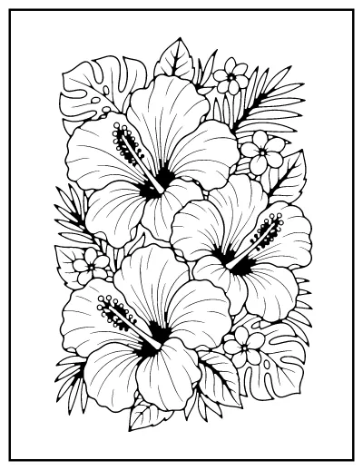 Hibiscus Tropical Flowers coloring page – printable line art