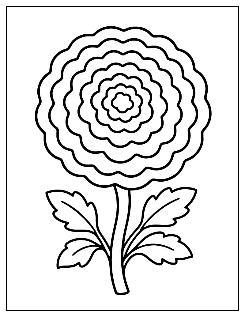 Large Print Marigold Flower coloring page – printable black and white line art