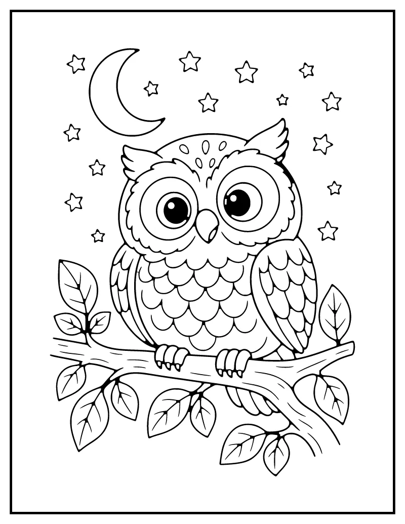 Owl on a Branch at Night coloring page – printable black and white line art