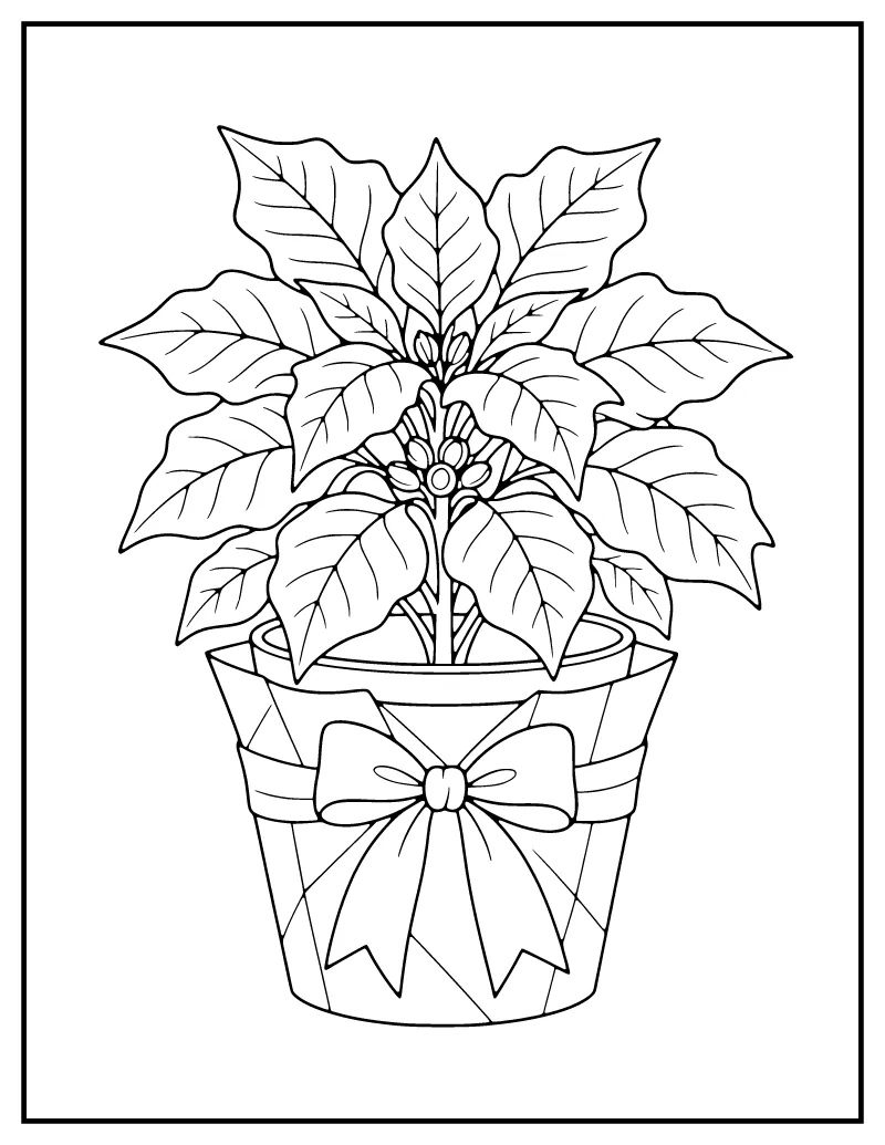 Potted Poinsettia coloring page – printable black and white line art