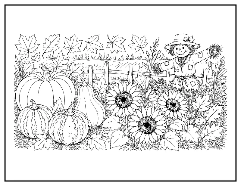 Pumpkin and Sunflower Harvest with a Scarecrow coloring page – printable black and white line art