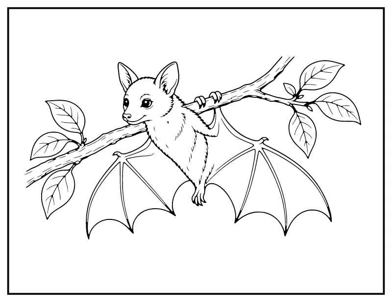 Realistic Fruit Bat coloring page – printable black and white line art