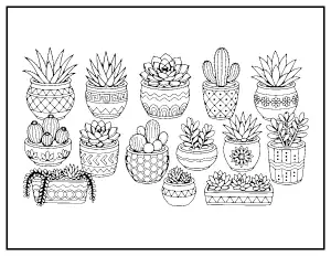 Succulent Garden in Pots coloring page – printable line art