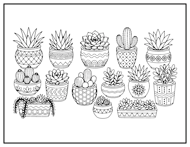 Succulent Garden in Pots coloring page – printable black and white line art