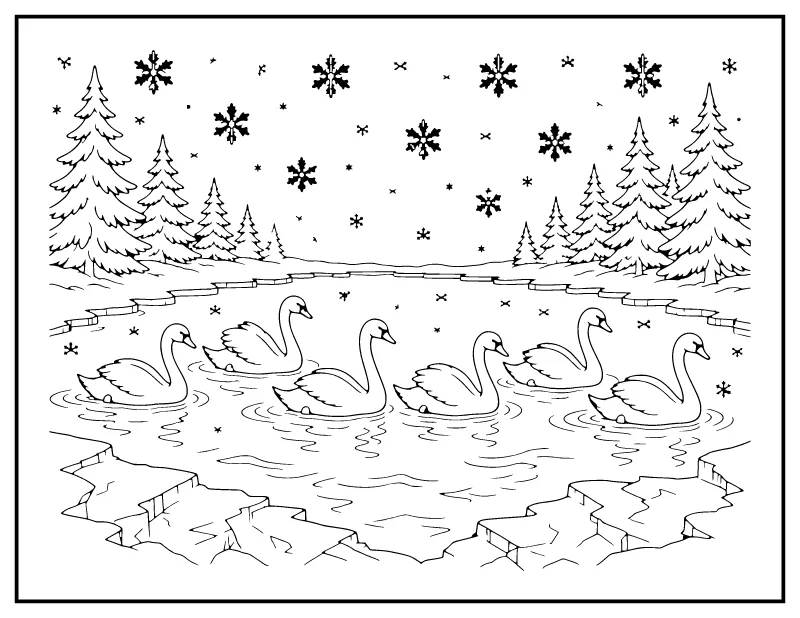 Swans a-Swimming on a Winter Pond coloring page – printable black and white line art