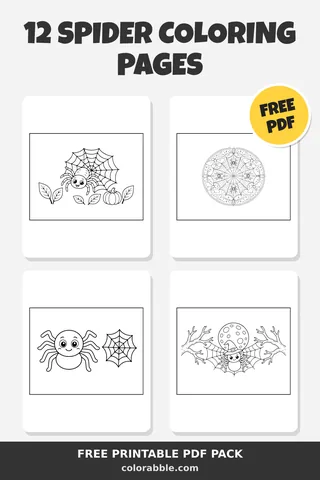 12 Spider coloring pages – preview of the free PDF pack