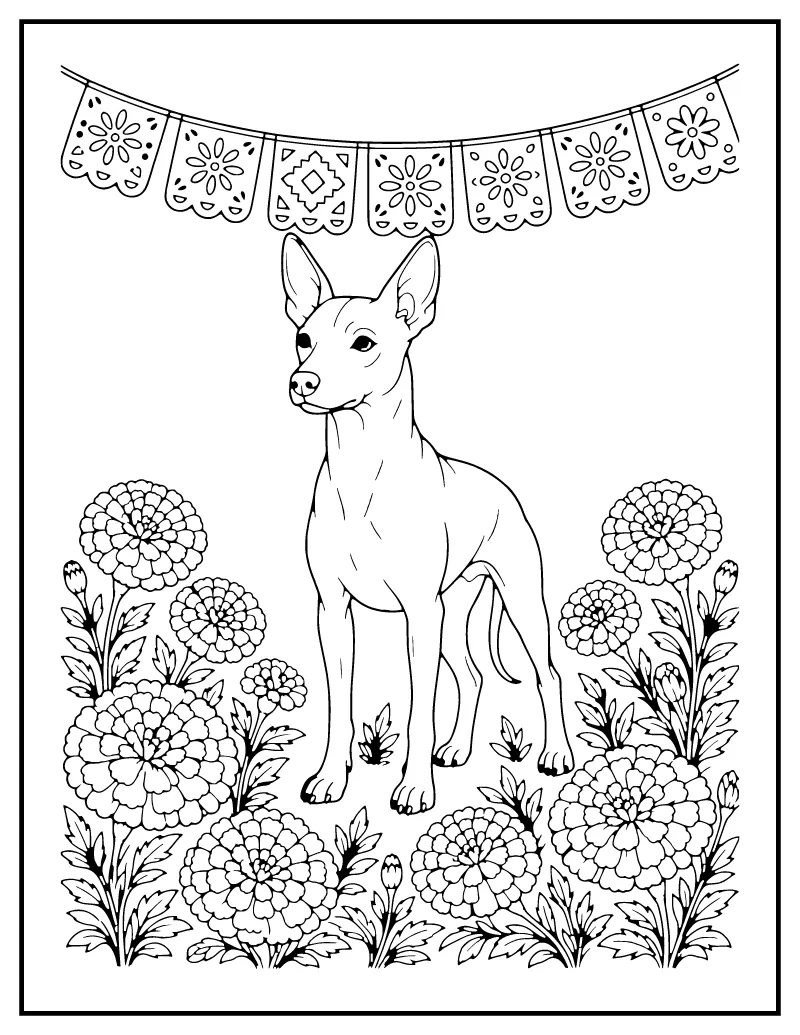 Xolo Dog with Marigolds coloring page – printable black and white line art